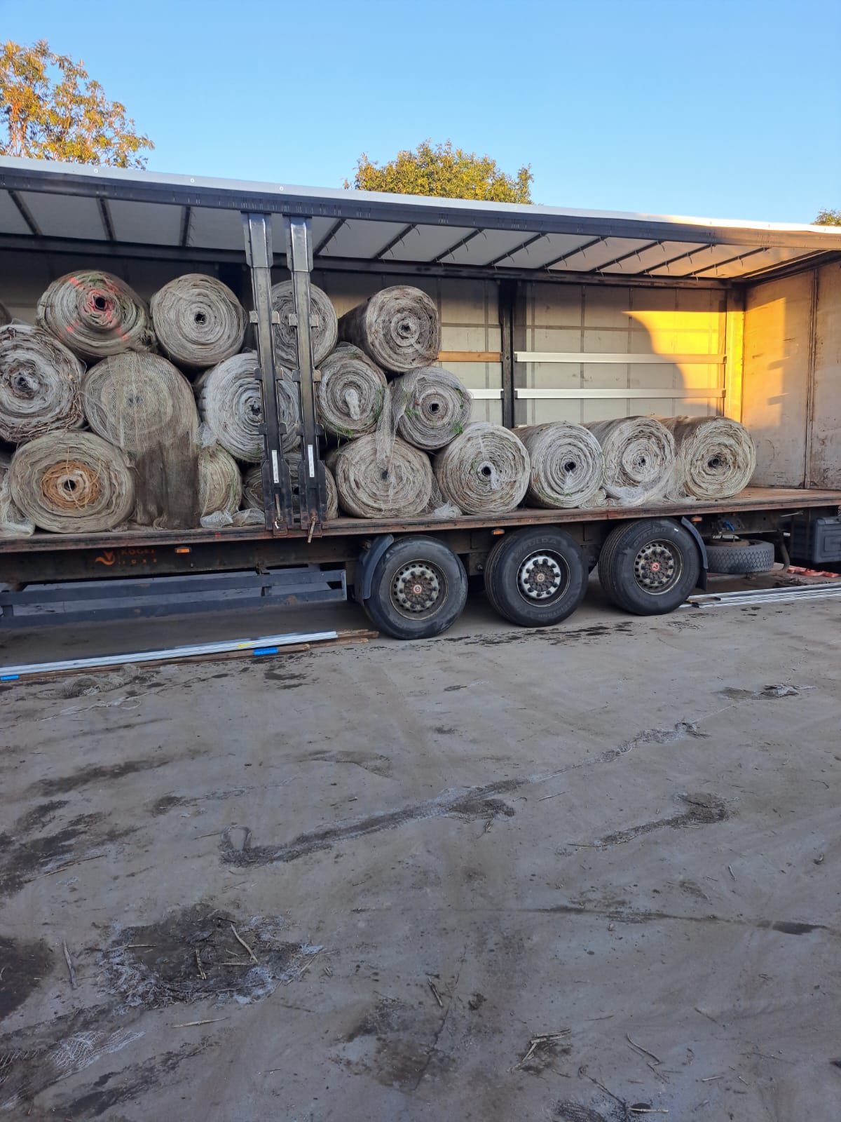 Мініатюра 6